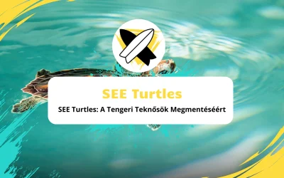 SEE Turtles: A Tengeri Teknősök Megmentéséért